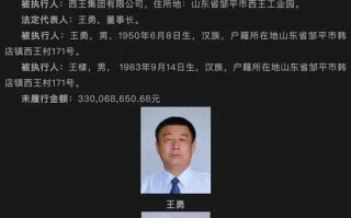 西王集团成“老赖”，法院比较高
悬赏990万，征集其董事长王勇财产线索