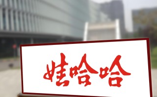 娃哈哈集团：又发紧急声明！新愁旧怨难解，遗留问题很多，宗馥莉面临内耗不少