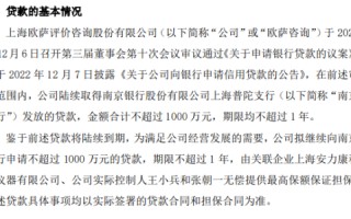 欧萨询问
拟向银行申请不超过1000万**
实际控制人王小兵和张朝一无偿提供比较高
保额保证担保