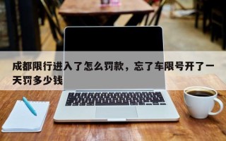 成都限行进入了怎么罚款，忘了车限号开了一天罚多少钱