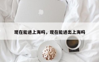 现在能进上海吗，现在能进出上海吗