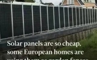 全球太阳能电池板太便宜了，欧洲客户用其做院子的围栏