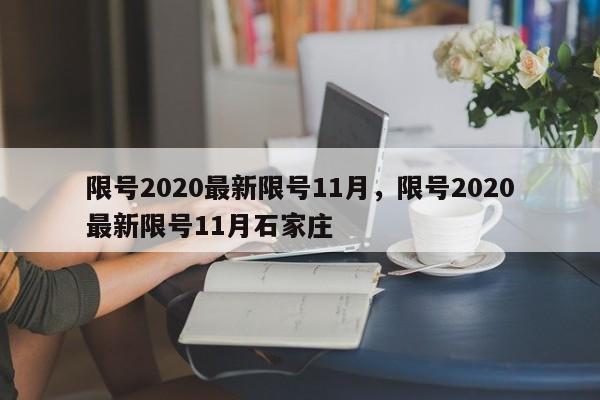 限号2020最新限号11月，限号2020最新限号11月石家庄-第1张图片-沐栀生活网