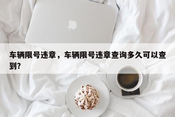 车辆限号违章，车辆限号违章查询多久可以查到？-第1张图片-沐栀生活网