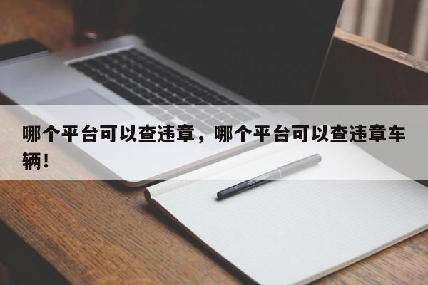 哪个平台可以查违章，哪个平台可以查违章车辆！-第1张图片-沐栀生活网