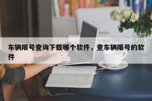 车辆限号查询下载哪个软件，查车辆限号的软件-第1张图片-沐栀生活网