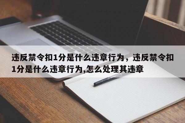 违反禁令扣1分是什么违章行为，违反禁令扣1分是什么违章行为,怎么处理其违章-第1张图片-沐栀生活网