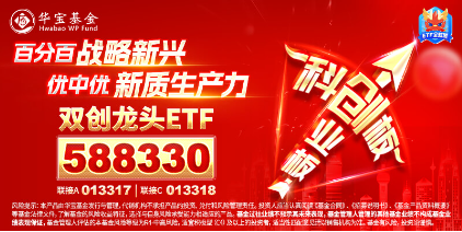 跨界宽基势不可挡！双创龙头ETF（588330）盘中飙涨超15%，中芯世界
等2股涨停，机构：“科技牛”或已显现-第6张图片-沐栀生活网