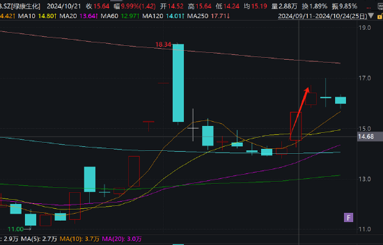 绿康生化故技重施？曾借重组引燃股价高管高位减持 百兴系百佳年代质地欠佳-第3张图片-沐栀生活网