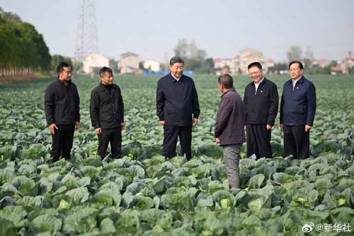 习近平在湖北考察调研-第5张图片-沐栀生活网