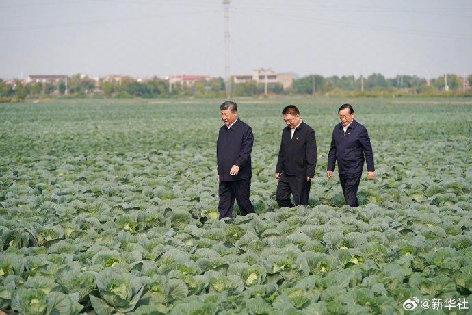 习近平在湖北考察调研-第6张图片-沐栀生活网