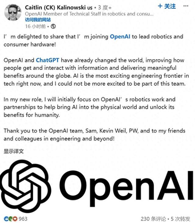 OpenAI变“硬”了！招揽Meta AR眼镜负责人领导机器人业务-第1张图片-沐栀生活网