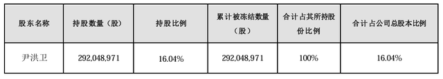 大股东持股遭八次轮候冻结，岭南股份流动性危机何解-第1张图片-沐栀生活网