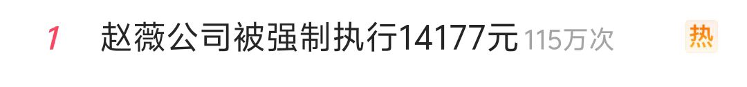 热搜第一！赵薇公司被强制执行14177元-第2张图片-沐栀生活网