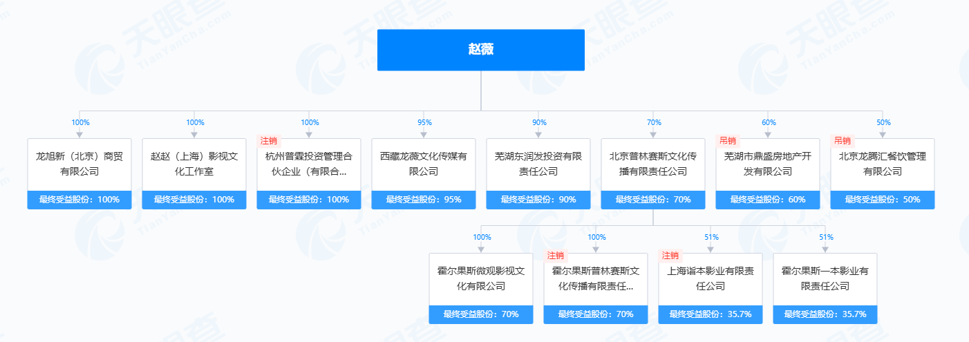 热搜第一！赵薇公司被强制执行14177元-第6张图片-沐栀生活网