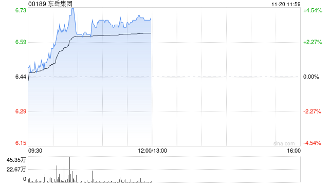 东岳集团早盘涨逾4% 易方达持仓比例上升至6.13%-第1张图片-沐栀生活网