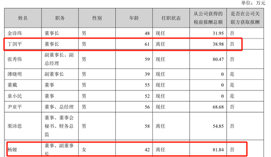 美女总经理带头财务造假，海伦哲索赔2.48亿-第6张图片-沐栀生活网