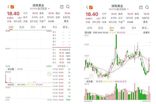 突然，6000亿元黄金！002155周末公告-第1张图片-沐栀生活网