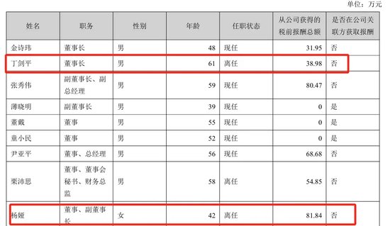 美女总经理带头财务造假,海伦哲索赔2.48亿-第3张图片-沐栀生活网